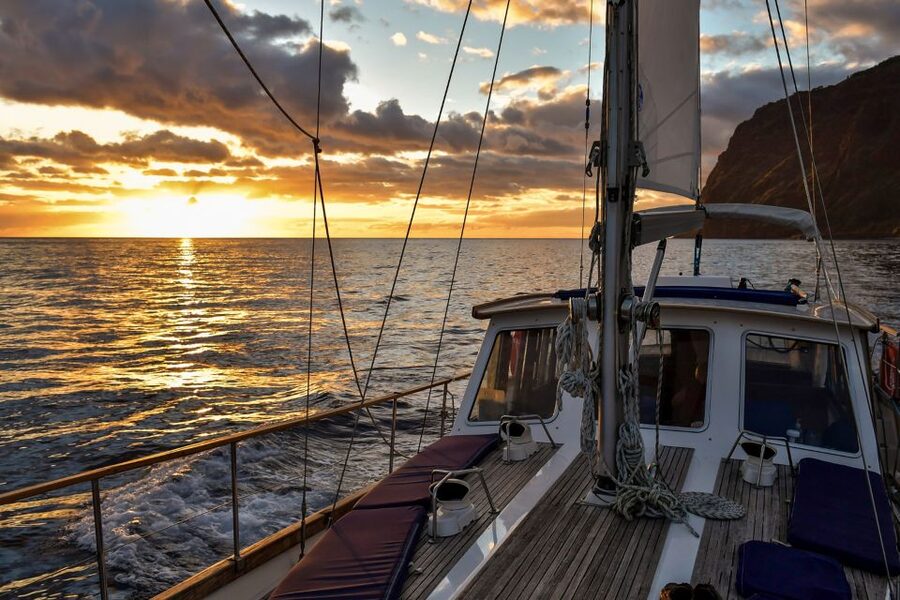 Funchal: Dolphin and Whale Watching Sunset Sailing Tour - What You’ll Do at Each Moment of the Sail