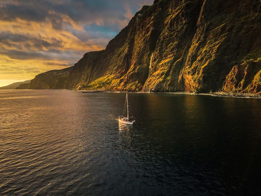 Funchal: Dolphin and Whale Watching Sunset Sailing Tour - Price and Value: Why $63 Can Feel Like a Deal