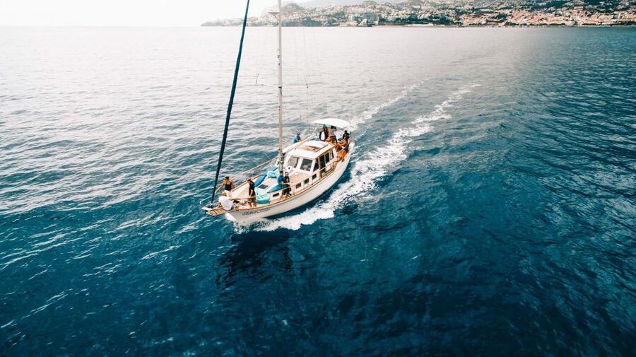 Funchal: Dolphin and Whale Watching Sunset Sailing Tour - What to Bring (and the Shoes-Off Rule That Catches People)