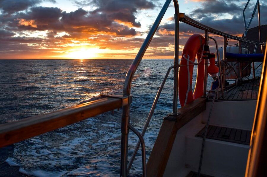 Funchal: Sunset Sailing Tour - The 3-hour rhythm: sailing out, wildlife watch, swim stop, then sunset