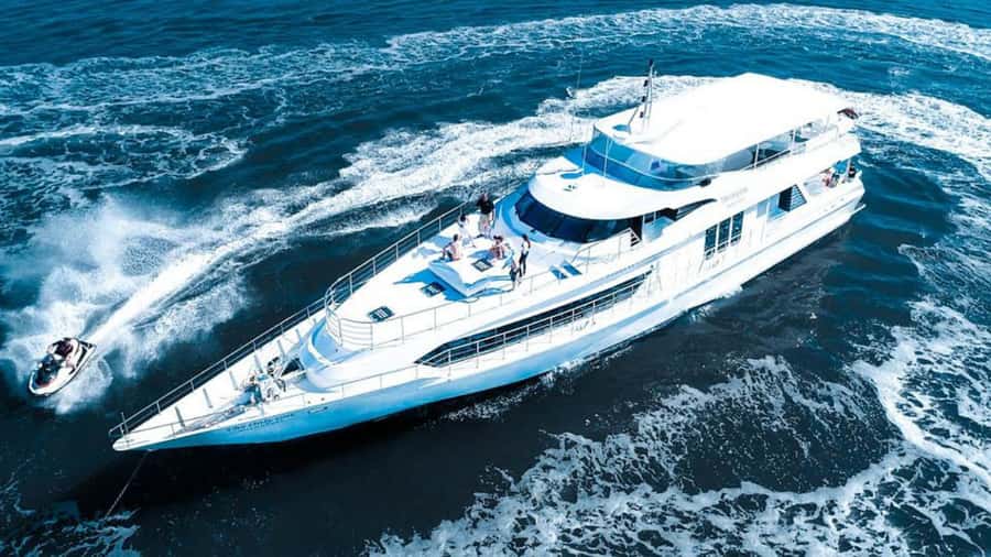 Gold Coast: Luxury Whale Watching Tour - Luxury yacht basics: Sun Goddess, decks, and onboard vibe