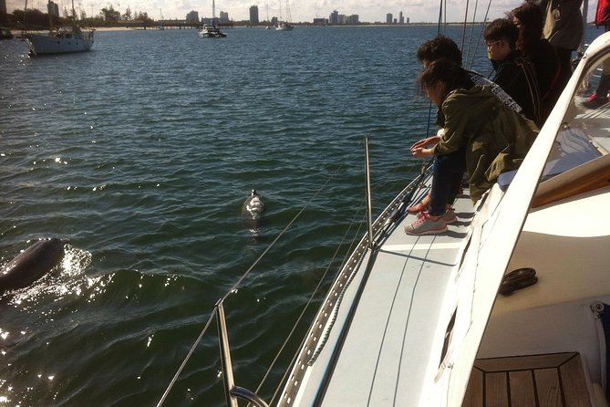 Gold Coast Sailing Cruise with sparkling wine & nibbles platter - What you actually see on the Broadwater (and why it matters)