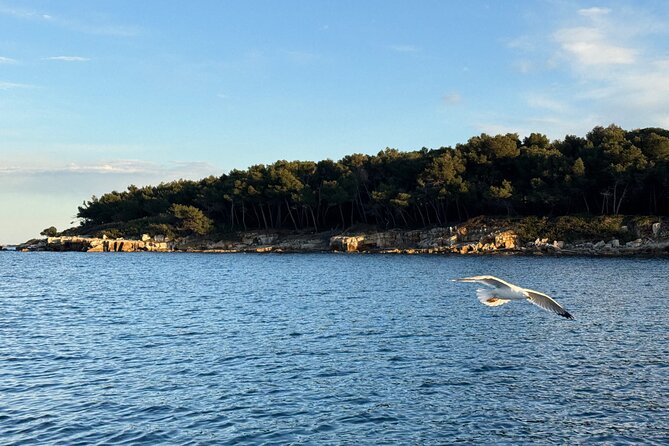 Golf Juan: Sunset Sailing Cruise with aperitif at the Island - Back on board again: small-group vibes and friendly hosting
