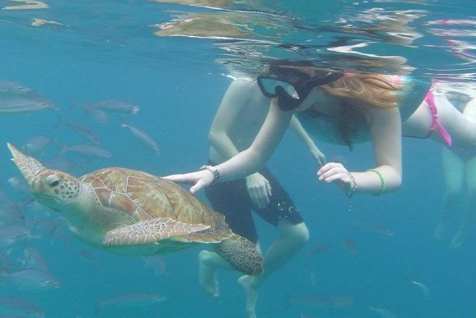 Good Times Too Premium Catamaran Lunch Cruise - What $154 buys you: premium sailing without the private-boat price tag