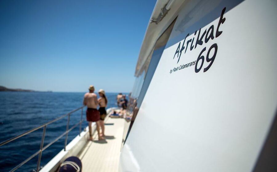 Gran Canaria: Afternoon Catamaran Cruise with Food & Drink - The Crew and the Entertainment Touch (Potter, Pedro, and Saxophone Time)
