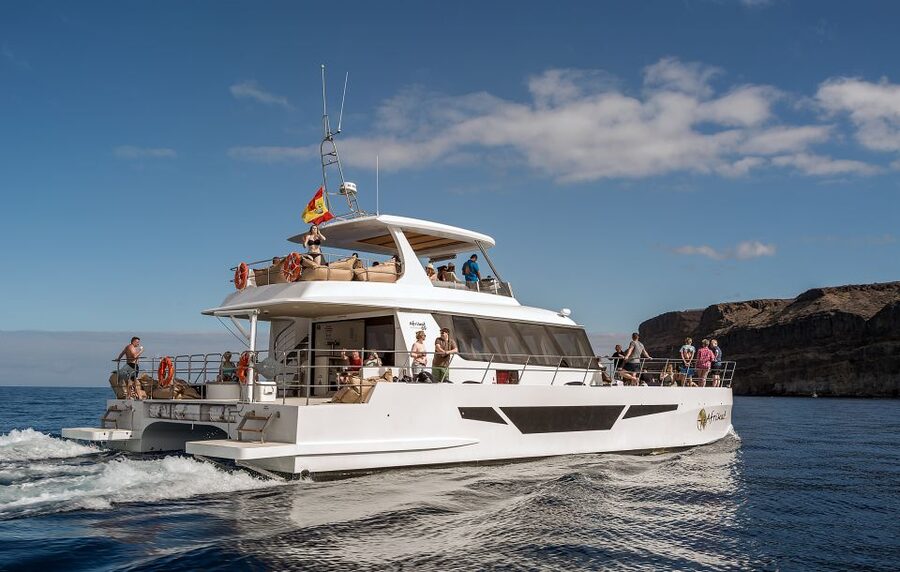 Gran Canaria: Afternoon Catamaran Cruise with Food & Drink - What to Bring (And What You’ll Be Happy You Did)