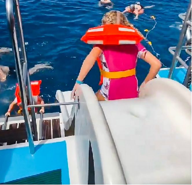 Gran Canaria: Catamaran Dolphin Watch Cruise with Snorkeling - Below Deck Glass Panels: The Practical Advantage