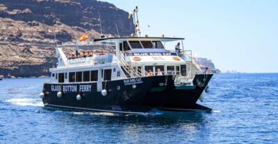Gran Canaria: Catamaran Dolphin Watch Cruise with Snorkeling - The Dolphin and Whale-Watching Stretch (About 2 Hours)