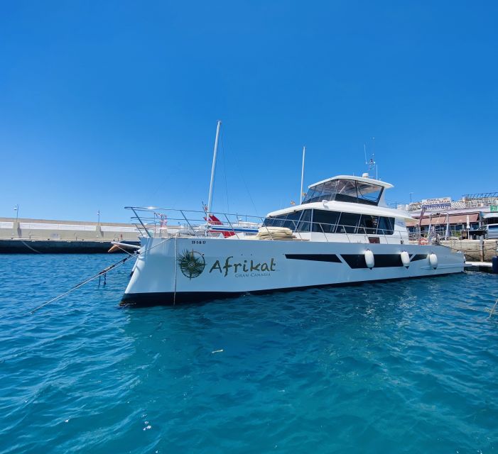 Gran Canaria: Fun Catamaran Cruise with Food and Drinks - Cruise Views Along Gran Canaria’s Southwest Coast