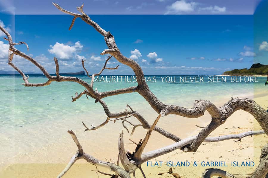 Grand Baie: Catamaran 3 Islands Cruise & Lunch on the Island - Lunch, Drinks, and the Return Party Feel