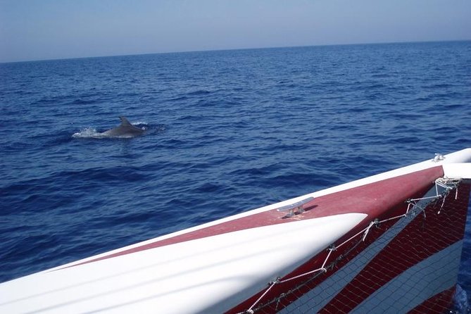 Half-Day Catamaran Trip in Menorca - Who should book this catamaran cruise?