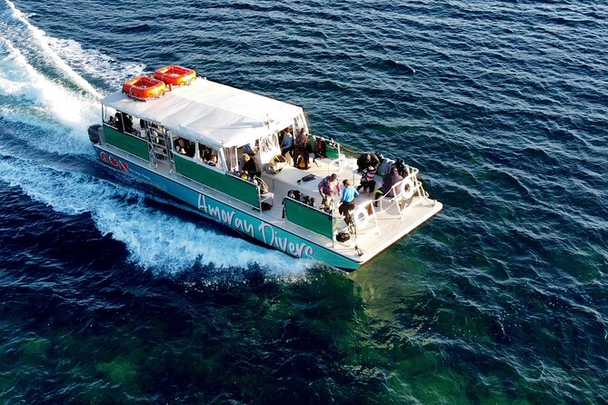 Half-Day Florida Keys Catamaran Snorkel Adventure - Price and Value: What $79 Buys You in the Keys