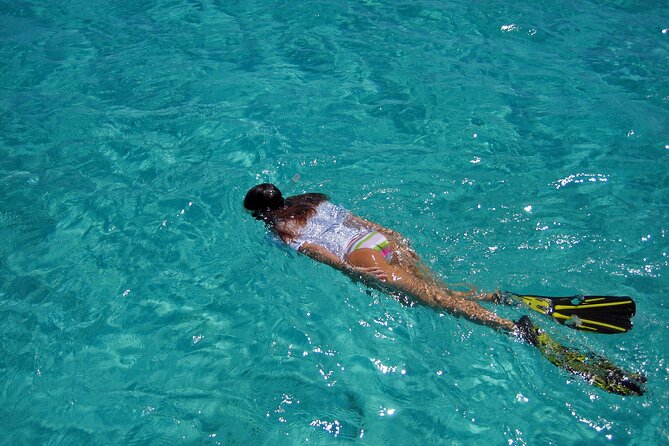 Half-Day Florida Keys Catamaran Snorkel Adventure - Stop 1: Florida Keys National Marine Sanctuary