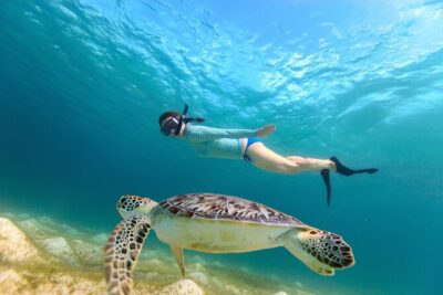 Half-Day Florida Keys Catamaran Snorkel Adventure - Where You Start in Key Largo (and How to Avoid Wasted Minutes)