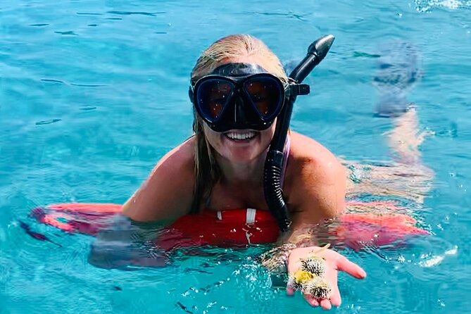 Half Day Luxury Catamaran Turtle Snorkel And Beach - Key highlights I’d circle before you book