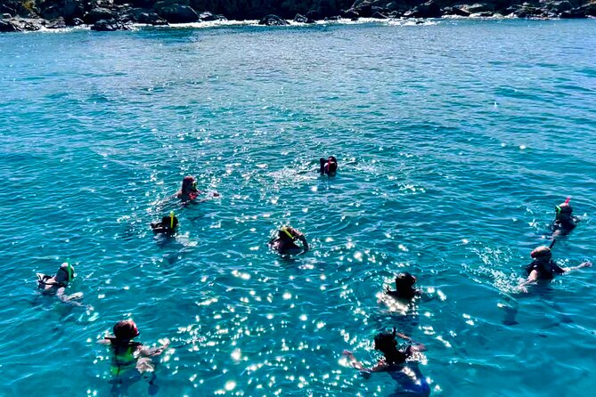 Half Day Luxury Catamaran Turtle Snorkel And Beach - Turtle Cove and Buck Island: where you go for green sea turtles