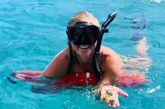 Half Day Luxury Catamaran Turtle Snorkel And Beach - Value check: is $159 a good deal for this kind of snorkeling?