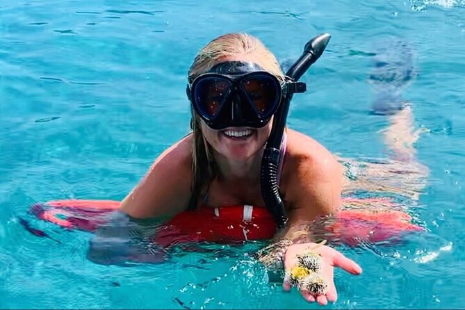 Half Day Luxury Catamaran Turtle Snorkel And Beach - The catamaran details that matter once you’re on the water