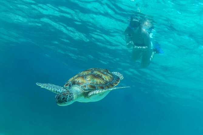 Half-Day Luxury Sailing Experience in Tulum with Open Bar - Crew energy and service: Matteo, Clemente, José, and more