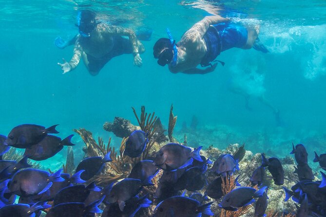 Half-Day Luxury Sailing Experience in Tulum with Open Bar - Timing, crowding, and weather: the part you can’t fully control