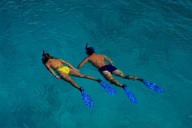Half Day Oahu Combo Adventure: Bike, Sail and Snorkel - How the 12:00 pm start keeps this feeling like a real escape