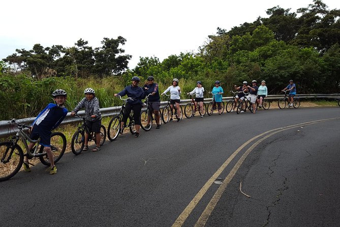 Half Day Oahu Combo Adventure: Bike, Sail and Snorkel - Snorkeling with turtles and reef fish: where the fun gets real