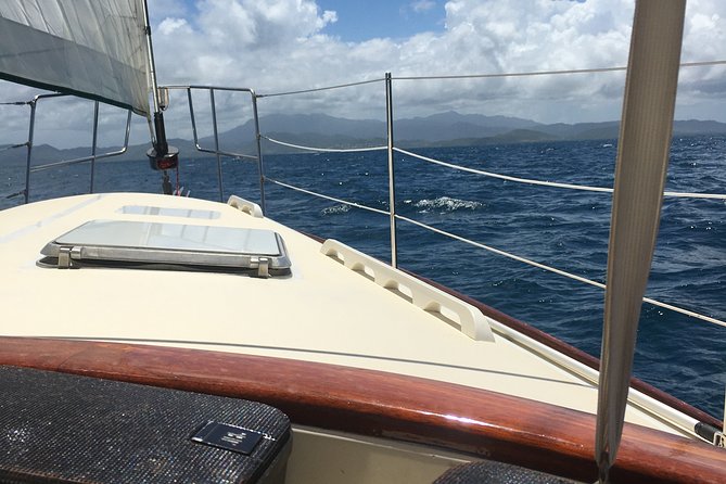 Half Day Sail and Snorkel with the Turtles - Key Things That Make This Tour Work