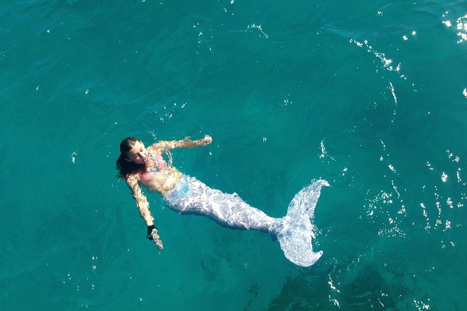 Half Day Sail and Snorkel with the Turtles - Price and Value: Why $140 Can Feel Worth It