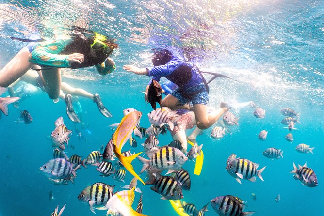 Half-Day Snorkel Sail Tour with Caribbean Lunch - Stop 2: The SS Antilla and What You’ll Actually See