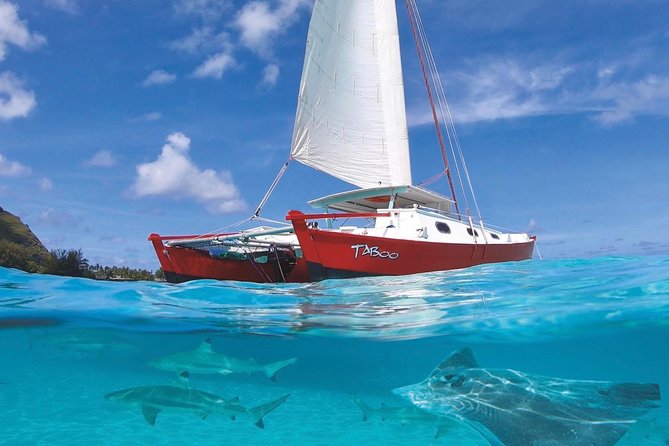 Half Day Tour : Moorea Snorkeling & Sailing on a Catamaran named Taboo - Key highlights that matter before you book