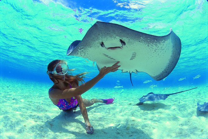 Half Day Tour : Moorea Snorkeling & Sailing on a Catamaran named Taboo - Final call: should you book Taboo on your Moorea trip?
