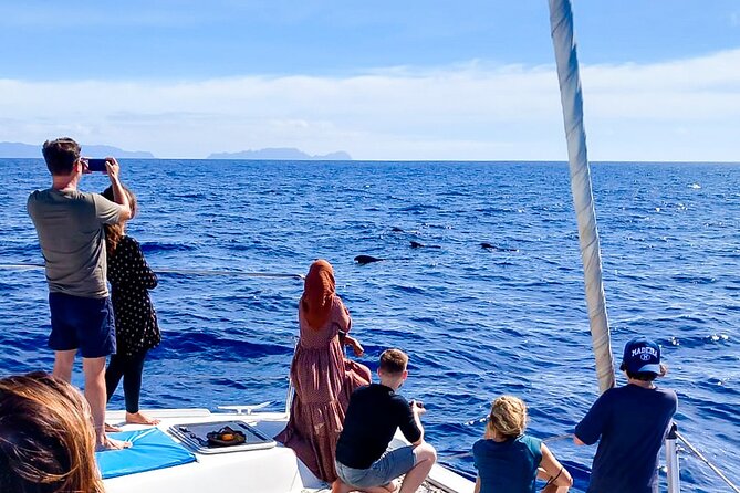 Half Day Tour on a Luxury Catamaran on Madeira Island - Who This Tour Suits Best in Madeira