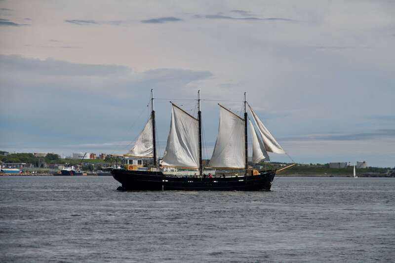 Halifax: Tall Ship Harbor Sailing Cruise with Live Music - Key things to know before you go