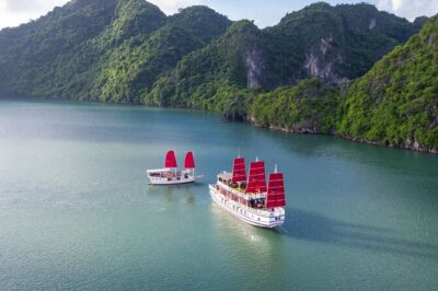 Halong Amazing Sail Luxury 1 Day Small Group Tour 7-Hour Cruising - Price and What You’re Really Paying For at $199