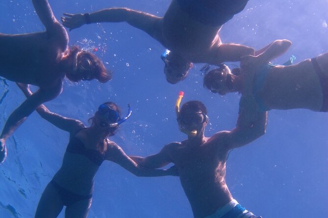 Hawaiian Canoe Sailing Experience in Maui - From shore to open water: why the launch method matters
