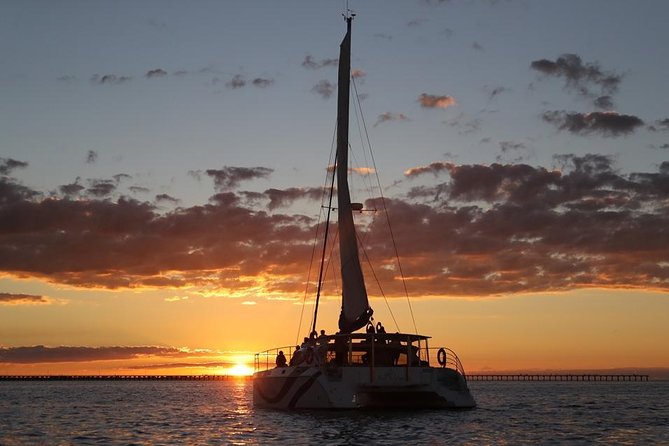Hervey Bay Champagne Sunset Sail - Key highlights at a glance