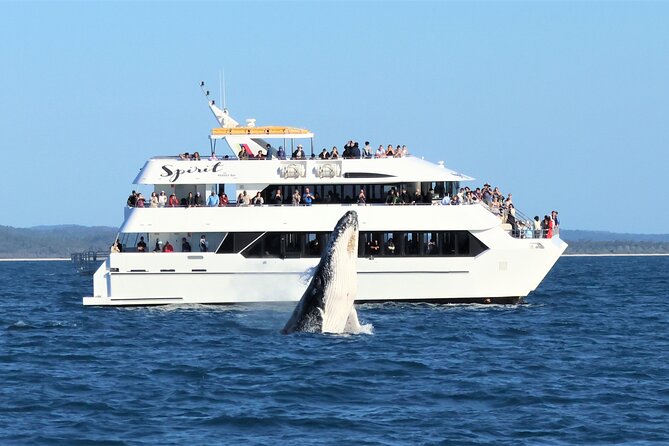 Hervey Bay Champagne Sunset Sail - Drinks and finger food: the part most people remember