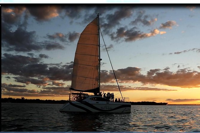 Hervey Bay Champagne Sunset Sail - Wildlife spotting without the pressure