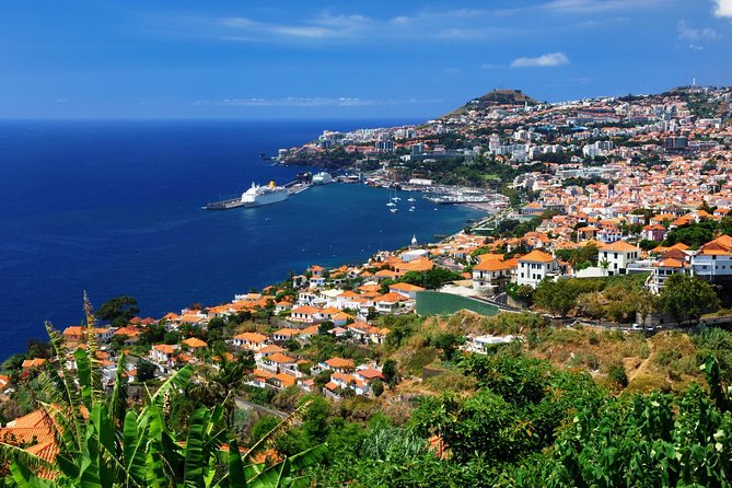 Hop-on Hop-off Bus Tour and Catamaran Whale & Dolphin Watching - How the Hop-On Bus + Catamaran combo plays in Funchal