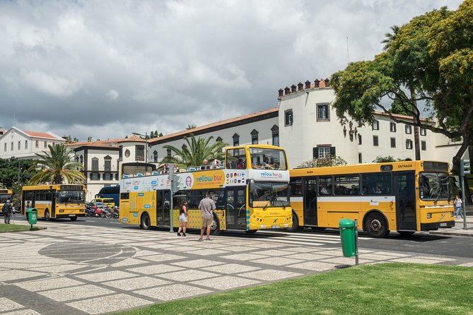 Hop-on Hop-off Bus Tour and Catamaran Whale & Dolphin Watching - Included extras on land: Madeira wine and Bordal make the bus feel worth it