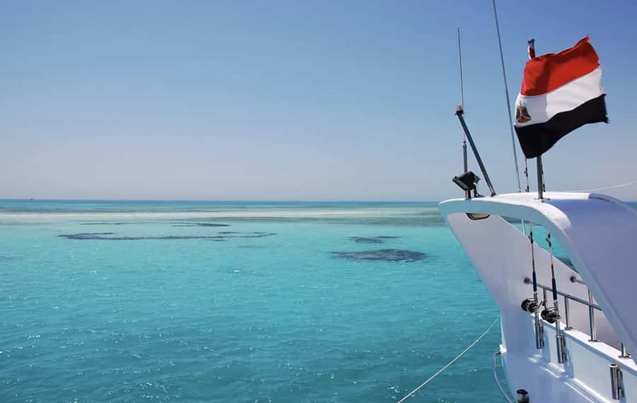 Hurghada: Elegance Yacht Cruise To Orange bay Island W lunch - Dolphins: The Moment That Changes the Day