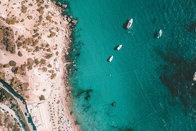 Ibiza & Formentera Private Catamaran Full-Day Sailing Tour - The Border Collie Factor (And Why It Matters)