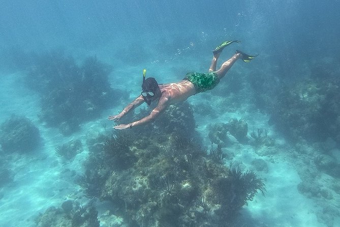 Icacos Deserted Island Catamaran, Snorkel, and Picnic Cruise - The Build-Your-Own Sandwich Lunch and Drink Lineup