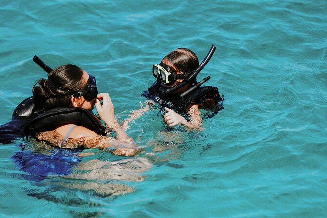 Iconic Aruba Sail and Snorkel Experience - Crew and comfort: what makes this tour feel easy