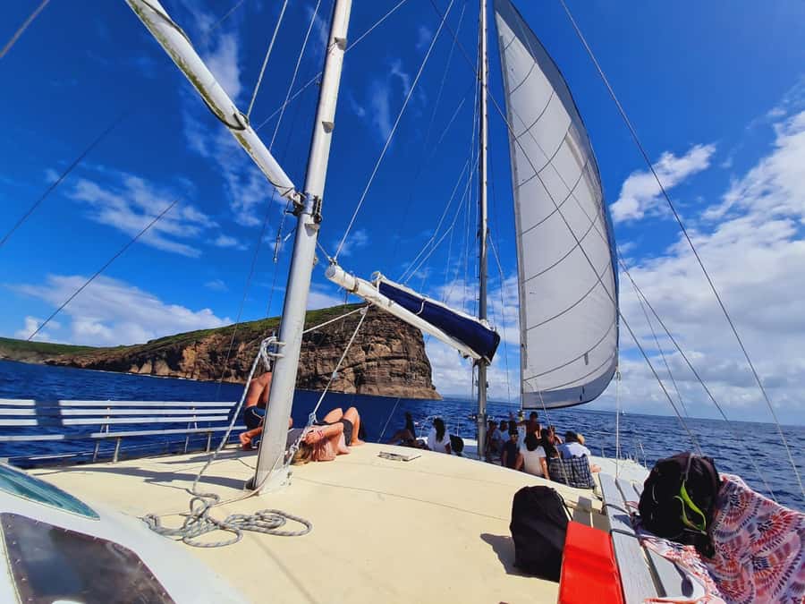 Ilot Gabriel: Catamaran Cruise & BBQ Lunch - Ilot Gabriel Natural Reserve: Beaches, Birdlife, and Island Time