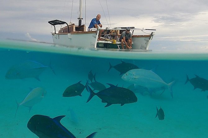 Introduction to sailing and discovering the lagoon - Transfers and timing: how to plan your day around the sea