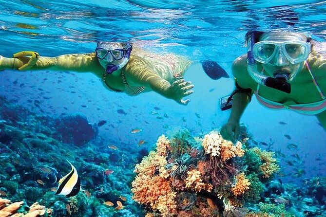 Isla Mujeres Catamaran, Open Bar & Optional Buffet and pick up - On board: comfort, open bar style, and how crowding changes the vibe