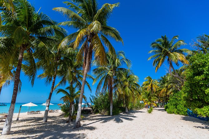 Isla Mujeres Catamaran, Open Bar & Optional Buffet and pick up - Arrecife El Meco snorkeling: timing, safety rules, and how it can disappoint