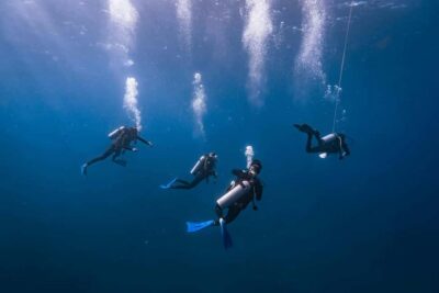Isla Mujeres: Catamaran Ride with Open Bar, Snorkeling, and Lunch - Price and Port Fee: Is the $56 Ticket a Good Deal?