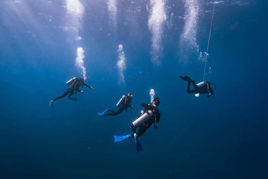 Isla Mujeres: Catamaran Ride with Open Bar, Snorkeling, and Lunch - Price and Port Fee: Is the $56 Ticket a Good Deal?